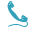 phone icon